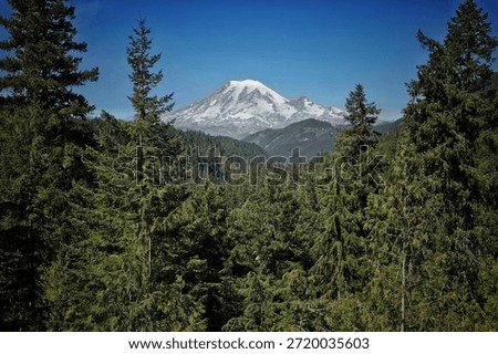 Mt. Rainer Through the Trees