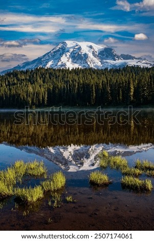 Mt Rainier reflected in Reflection Lakes, Rainier National Park, Washington.
