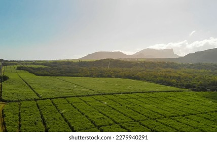 Mt Rempart in Mauritius - Aerial view with surrounding countryside. - Shutterstock ID 2279940291