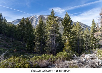 Mt Rose From Washoe Valley