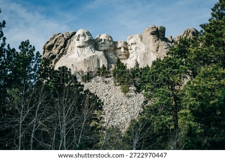 Mt Rushmore seen through trees