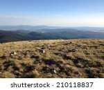 Mt. Spokane