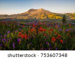 Mt St Helens and wildflowers at sunrise