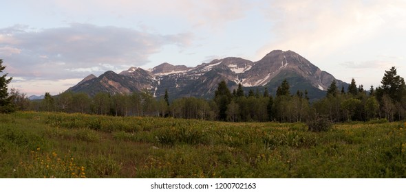 Mt. Timpanogos Across A Field