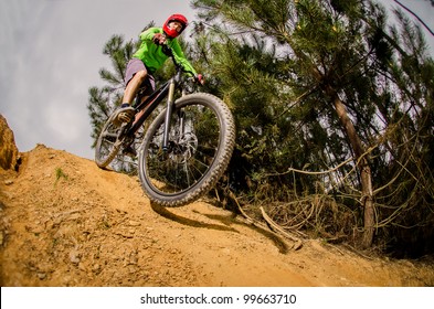 MTB Downhill Biking In The Forest.