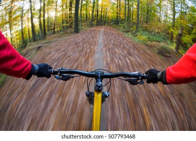 Mtb Mountain Bike Forest - Point Of View (pov)