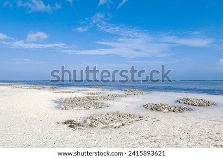 Mtende beach, Zanzibar island Unguja, Tanzania, East Africa