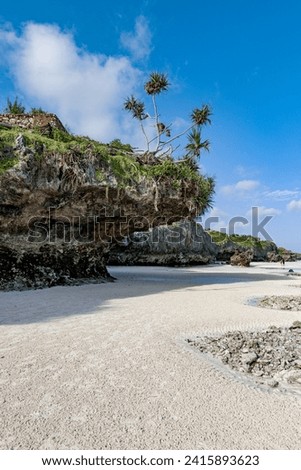 Mtende beach, Zanzibar island Unguja, Tanzania, East Africa