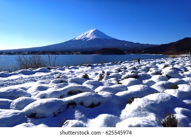 149 Oishi Park Winter Images, Stock Photos & Vectors | Shutterstock