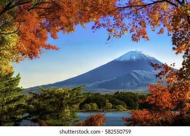 23,206 Red fuji mountain Images, Stock Photos & Vectors | Shutterstock