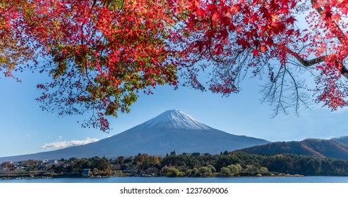 Mt.Fuji in autumn at Lake kawaguchiko in japan.