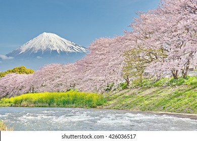 Mt.Fuji At Uruigawa River