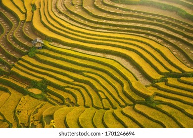 Mu Cang Chai is located in the Northern part of Vietnam at 1000 meters above the sea level.