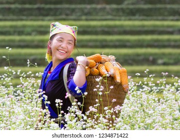 Mu Cang Chai, Vietnam, September 27, 2017: They are ethnic minorities in the uplands of the Northwest, Vietnam. They live in the terraced fields that many people love.