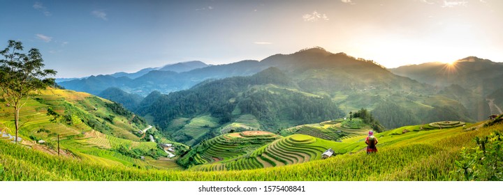Mu Cang Chai, Yen Bai Province, Vietnam - September 19, 2019: Panorama view of terraced rice field in harvest season in Mu Cang Chai, Yen Bai province, northern of Vietnam