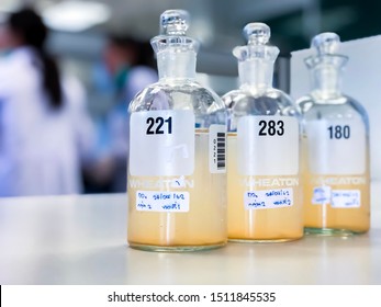 Muang, Phitsanulok / Thailand - August 24, 2019: BOD Bottle For Analysis Biochemical Oxygen Demand In Wastewater Sample, Precipitation With Solvent In Flask, Can Use As A Science Background. 