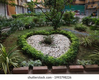 Muang Thong Thani, Nonthaburi, Thailand - Feburary 5,2020. Group Of Tree Arrange To Be Heart Form Around White Rocky Ground Background 