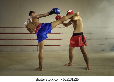 Muay Thai Martial Art - Boxing 