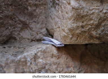 Much publicised practice of placing slips of paper containing written prayers into the crevices of the Wailing Wall.