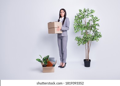 Too Much Stuff. Full Body Profile Photo Of Dismissed Lady Company Crisis Lost Job Hold Carton Box Fired Stand Big Plant Pot Many Belongings Carry Packs Isolated Grey Color Background