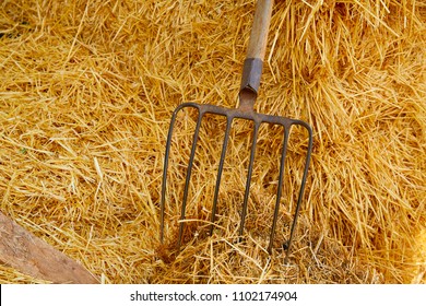 muck fork stable tool on straw bale barn - Shutterstock ID 1102174904