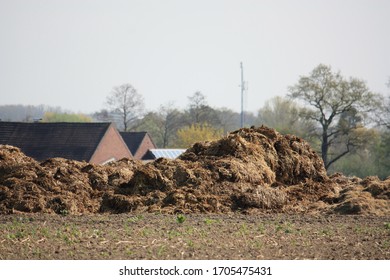 Muck Heap In The Field