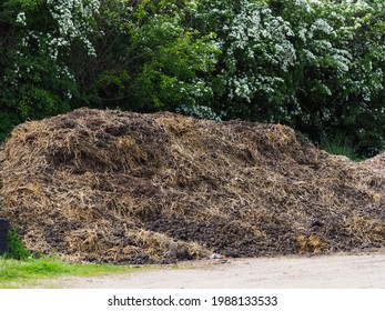 A Muck Heap Full Of Horse Manure And Straw On A Yard.