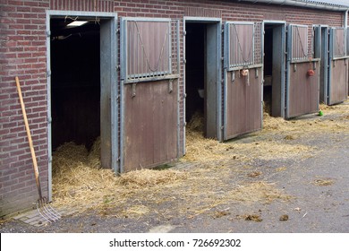 Mucking out the stables at the horse barn. Fresh straw has just been distributed in the row of horse stables / boxes. Broom and manure fork visible.