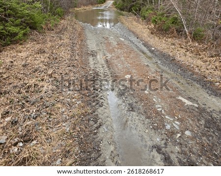 A mucky section of forest road.