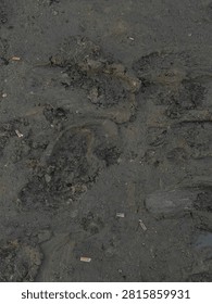 Mud , constrcution , footsteps 
