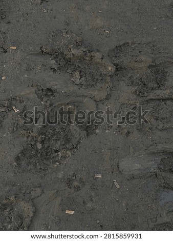 Mud , constrcution , footsteps 
