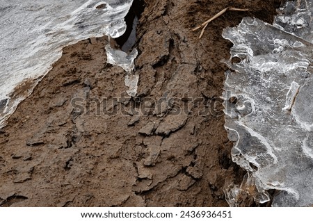 Mud covered bark of a downed tree along the edge of Prairie Creek is framed by ice, DesPlaines River State Fish and Wildlife Area, Will County, Illinois