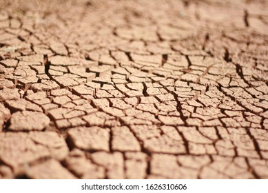 Mud cracking is a process commonly found in hot, dry climates in regions where a clayey soil has been recently saturated with water such as intertidal regions or deserts after a rainfall