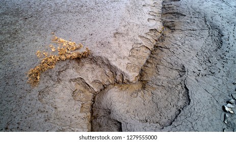 Mud Flat In Ganghwado, South Korea