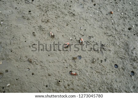 Similar – Image, Stock Photo ebbe. watt with red, round, markings.