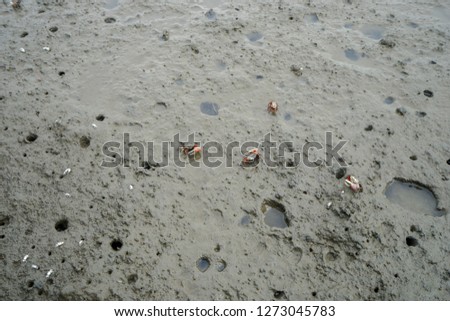 Similar – Image, Stock Photo ebbe. watt with red, round, markings.