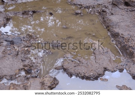 Similar – Image, Stock Photo Trees reflected in mud puddle