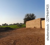 Mud house in the Fields