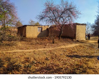 Mud Houses In Zulu Village