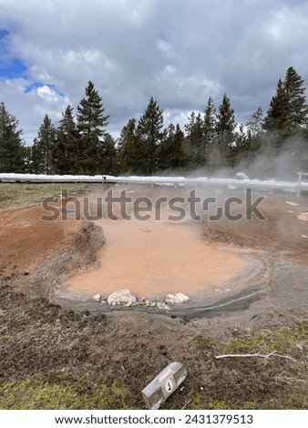 Mud pots in a national park in the western USA