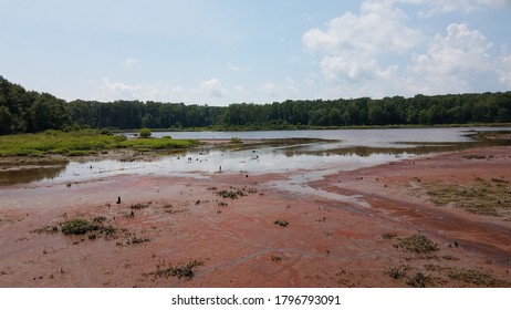 Mud And Red Algae Bloom In Water In Wetland