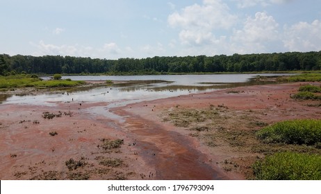 Mud And Red Algae Bloom In Water In Wetland