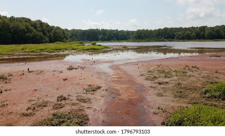 Mud And Red Algae Bloom In Water In Wetland