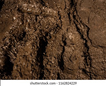 Mud and Sludge Texture