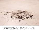 Mud stain on wooden floor indoors, closeup