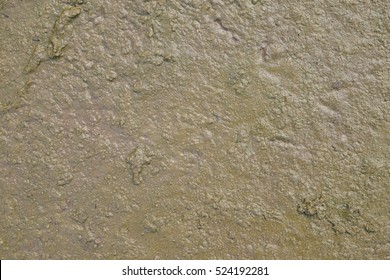 Mud Texture