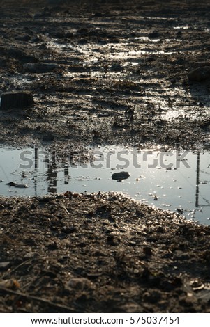 Mud Texture