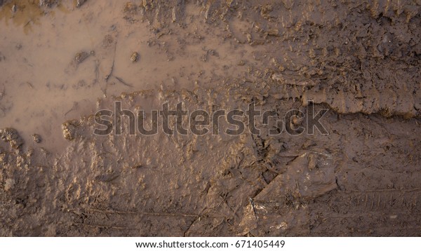 Mud texture\
background