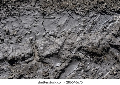 Mud Texture: Wet Cracked Ground