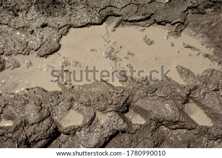 Mud texture or wet gray soil as natural background.